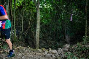 BIB: 
                            <button type="button" onclick="openModal(19438258)" class="btn btn-primary btn-sm float-right btn-popup" data-toggle="modal" data-target=".modal-high-quality">
                        <i class="fas fa-shopping-cart"></i> Add to Cart
                    </button>
                                            <button type="button" onclick="isThisMe(19438258, true)" class="btn btn-success btn-sm float-right btn-popup btn-isme hidden" data-toggle="tooltip" data-placement="bottom" title="นี่คือรูปของคุณใช่ไหม คลิกที่นี่เพื่อเอาเข้าอัลบั้ม">
                        <i class="fas fa-plus"></i> Add to album
                    </button>
                    <button type="button" onclick="isThisMe(19438258, false)" class="btn btn-warning btn-sm float-right btn-popup btn-isnotme hidden">
                        <i class="fas fa-ban"></i> Remove from album
                    </button>